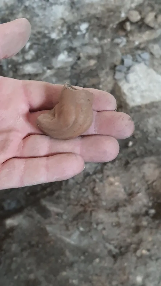 Horní náměstí v Přerově bylo hojně osídlené již v době bronzové. Potvrzují to poslední vykopávky