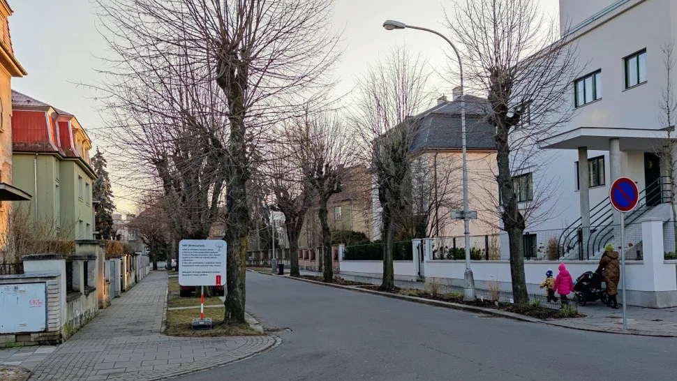 V lokalitách ořezů stromů jsou v Olomouci nově umístěné informační tabule