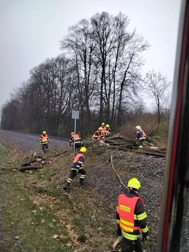 Silný vítr lámal v Olomouckém kraji stromy. Padaly na elektrické dráty, koleje a v Bystrovanech ohrožovaly dům