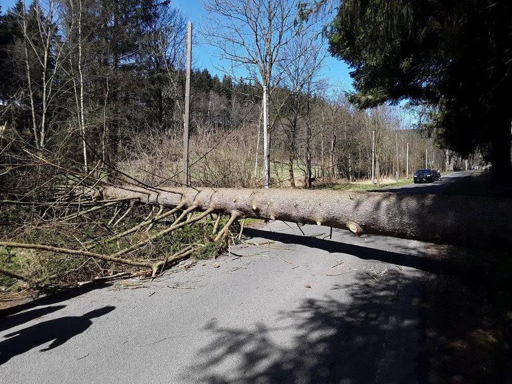 Poničené střechy i pády stromů na trať. Hasiči v Olomouckém kraji řešili kvůli vichru desítky událostí
