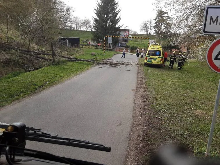 U Mladče silný vítr shodil strom na cyklistu. Hasiči měli v celém kraji přes dvě desítky zásahů