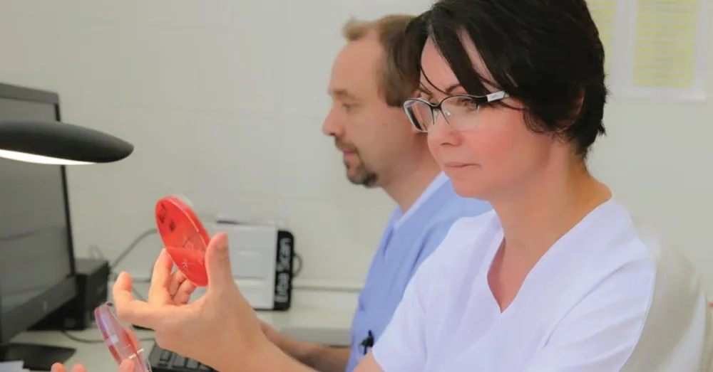 Tajemný svět nejen v Petriho misce. Šumperská mikrobiologická laboratoř připravila speciální výstavu