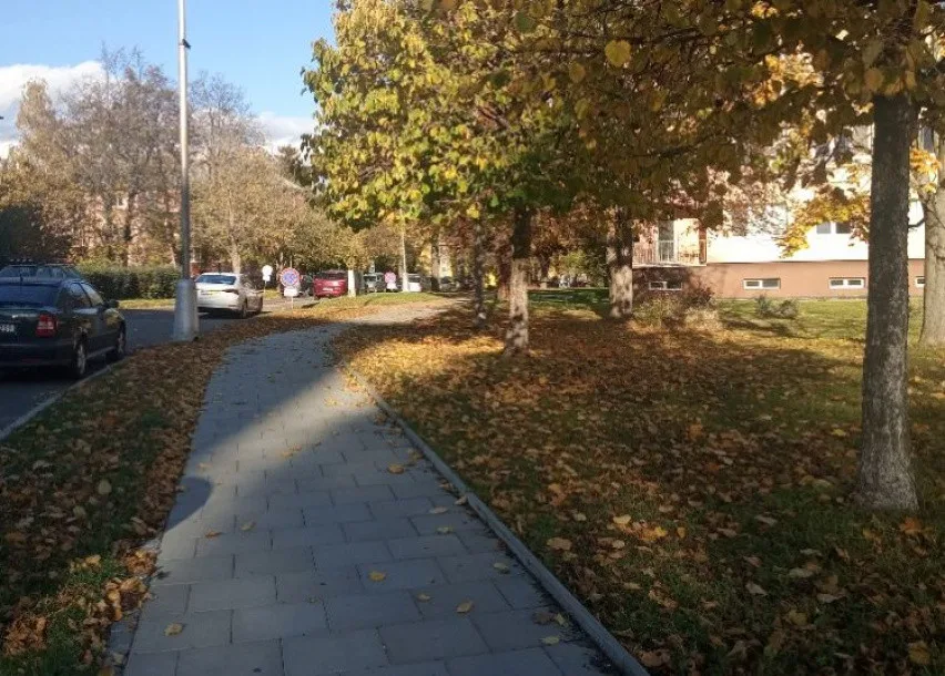 Ilustrační foto