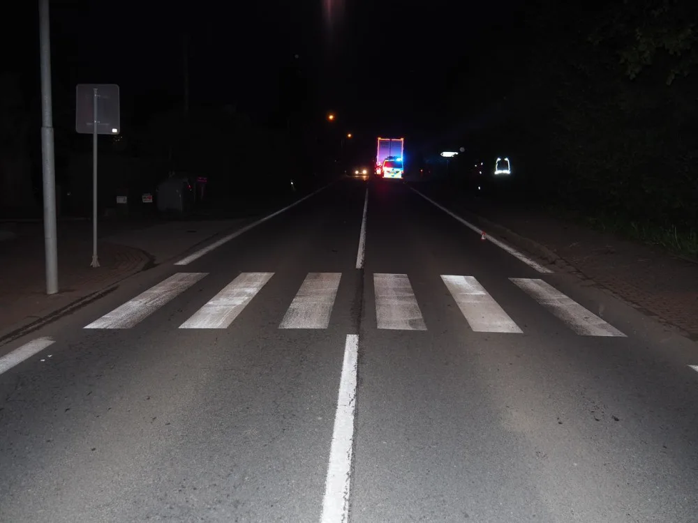 Ve Velkých Losinách se splašil kůň a skočil do cesty kamionu. Veterinářka musela zvíře utratit