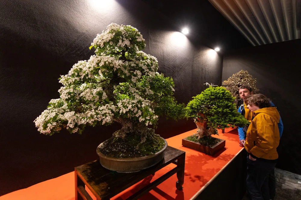 FOTOGALERIE: Vesmírná hlavní expozice i zahradnické trhy. Začala jarní Flora Olomouc