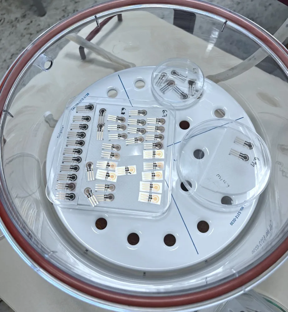 Speciální elektrody umožní zjištění různých chemikálií či mikroorganismů ze vzorku