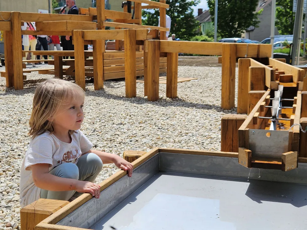 U přerovské knihovny vyrostla nová dešťová zahrada, potěší hlavně děti