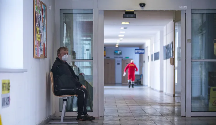 size3-17175016616415-152-statni-zdravotni-ustav-nakazy-cernym-kaslem-asi-ubyva-na-poctech-pacientu-se-to-zatim-neprojevuje