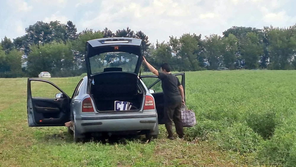 Družstvo z Hané trápí nájezdy nevítaných sběračů