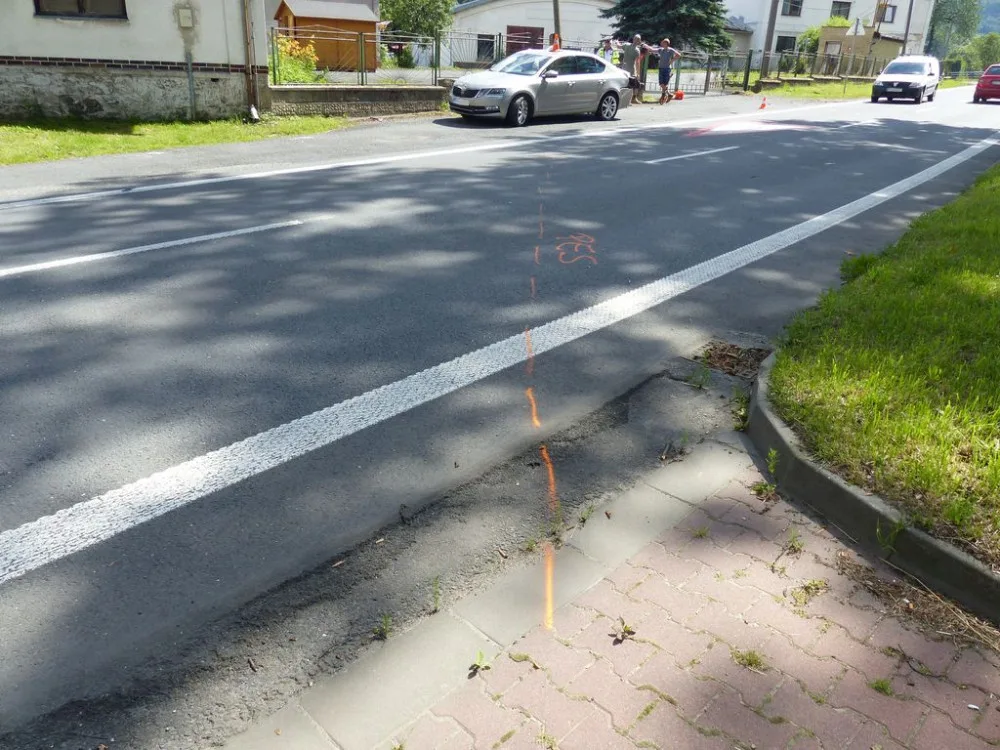 Čivava způsobila nehodu v Písečné. Řidička Octavie strhla řízení, zezadu do ní narazil kamion