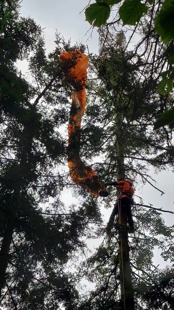 VIDEO: Mladá paraglidistka uvízla na Hranicku v korunách stromů . Z výšky ji zachránili hasiči-lezci