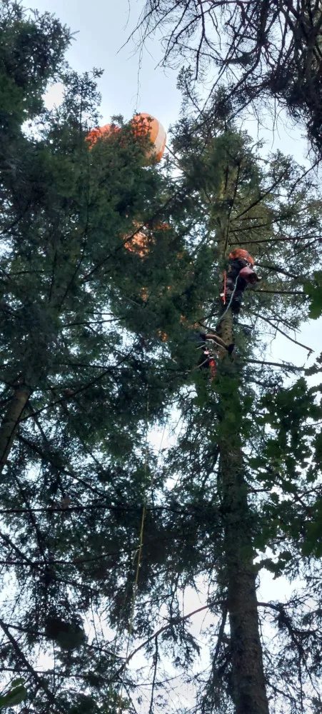 VIDEO: Mladá paraglidistka uvízla na Hranicku v korunách stromů . Z výšky ji zachránili hasiči-lezci