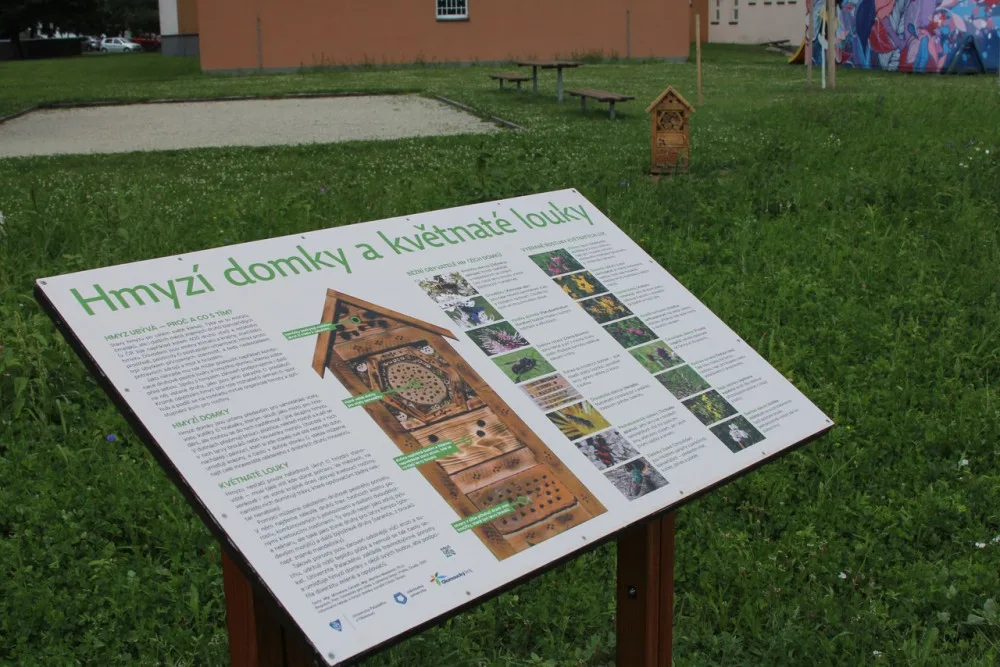 Na několika místech v Olomouci odborníci vysadili louky. Začínají kvést a hmyzí hotely se plní prvními hosty
