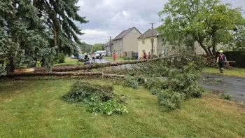 Bouřky a silné deště zaměstnávají hasiče na Olomoucku a Litovelsku. Čerpají vodu a odstraňují stromy