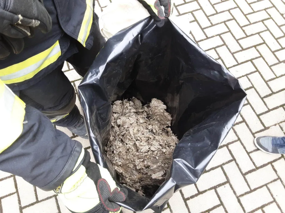 Vosy, včely a sršni útočí. Hasiči v Olomouckém kraji řeší desítky oznámení denně o agresivním bodavém hmyzuat při ohrožení