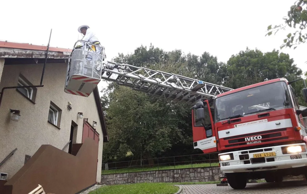Vosy, včely a sršni útočí. Hasiči v Olomouckém kraji řeší desítky oznámení denně o agresivním bodavém hmyzuat při ohrožení
