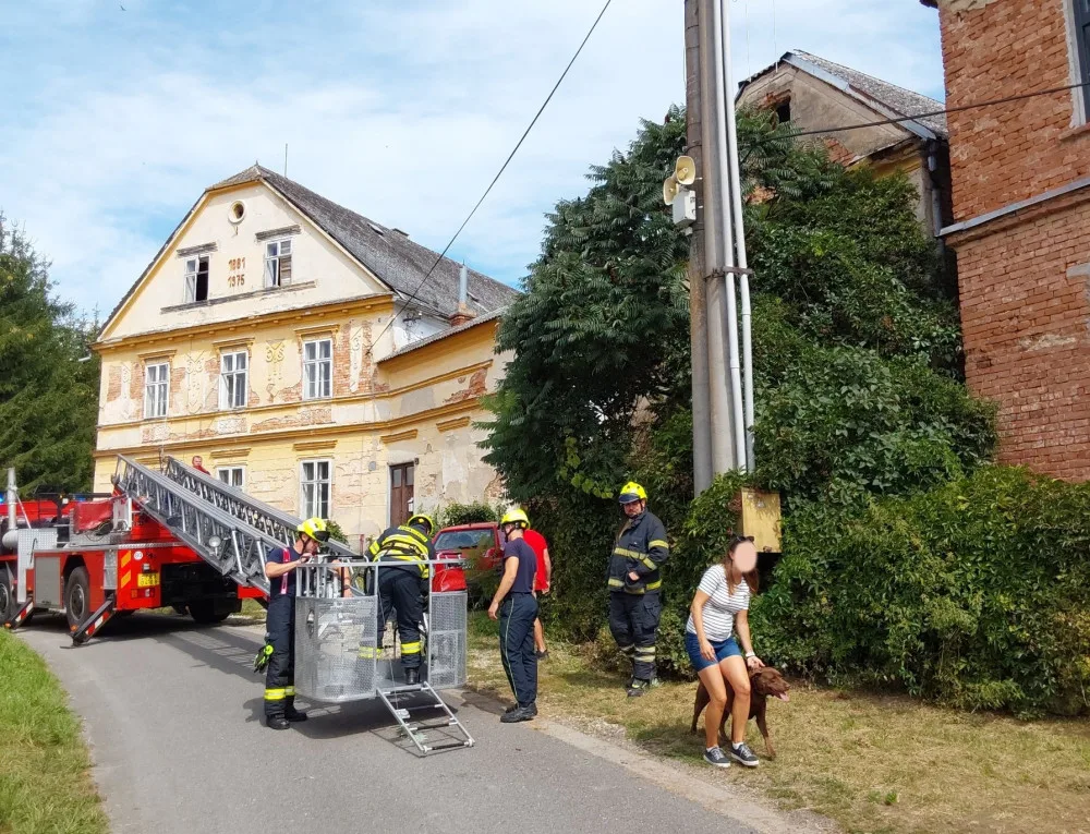 Operace labrador. Z římsy domu v Troubelicích hasiči sundávali psa, který zřejmě pronásledoval kočku