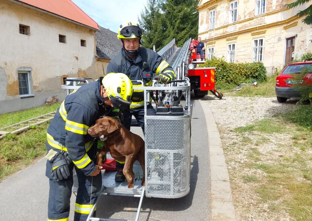 Operace labrador. Z římsy domu v Troubelicích hasiči sundávali psa, který zřejmě pronásledoval kočku