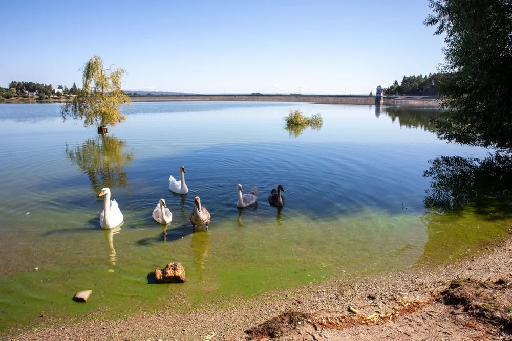 17229703581182-124-plumlov-3-foto-stanislav-helona
