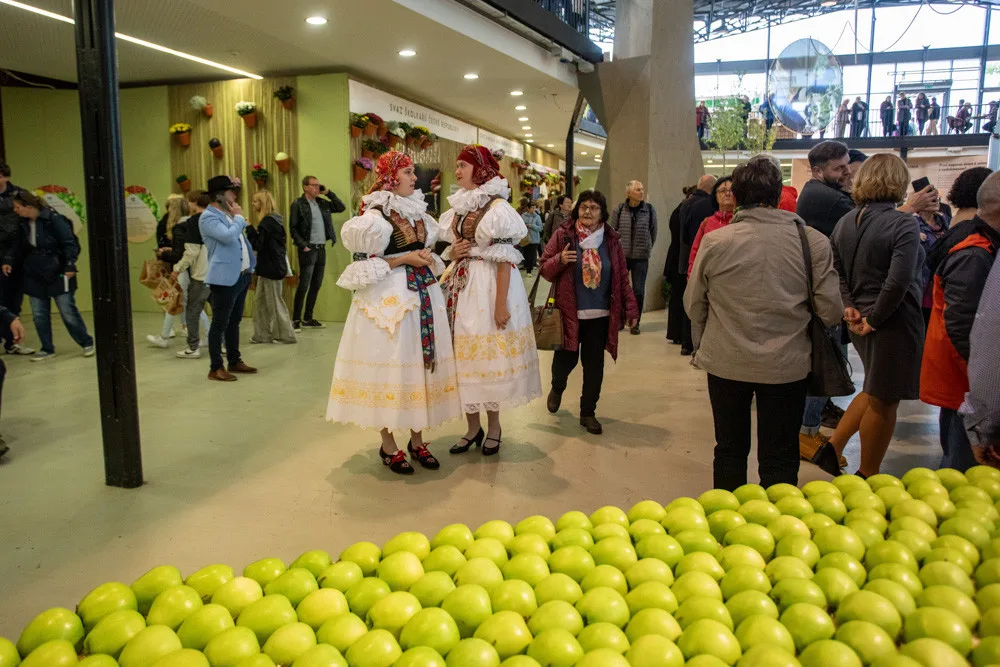 FOTOGALERIE: Podzimní Flora Olomouc otevřela své brány. Hlavní expozici vládne socha Natura