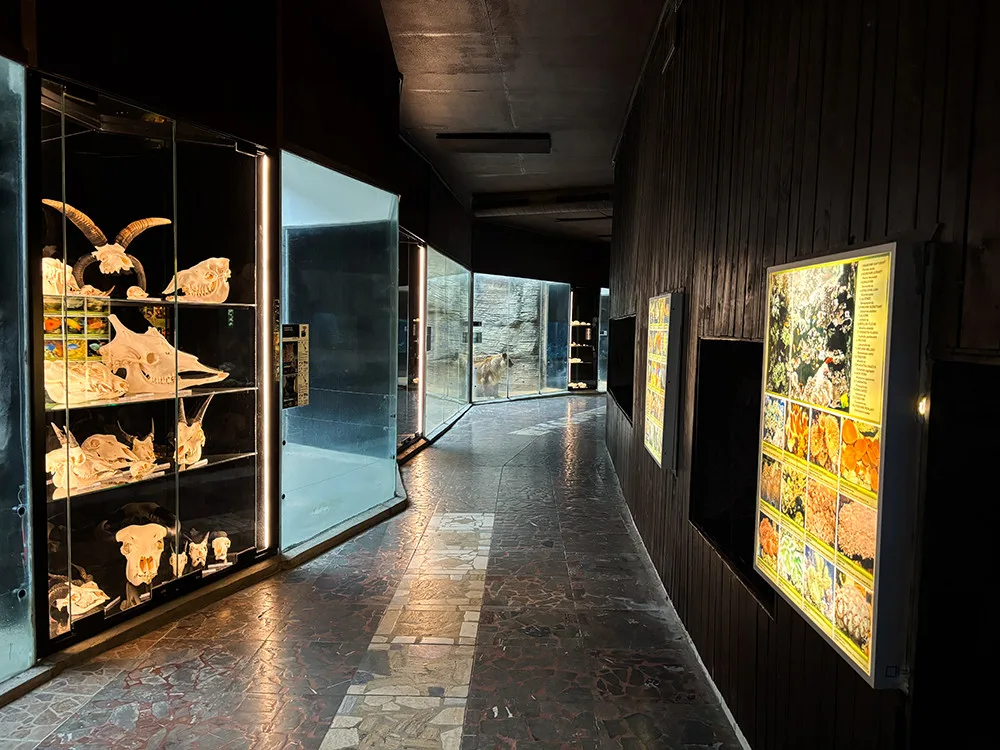 Do pavilonu šelem i na prohlídku zvířecích lebek. Zoo Olomouc připravila speciální expozici