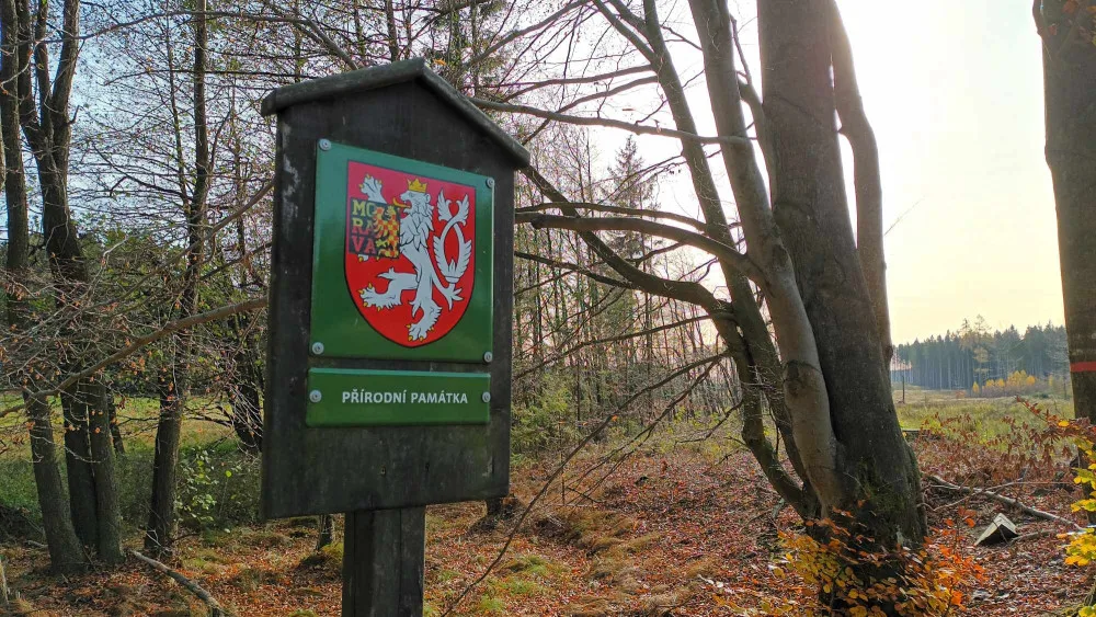TIP NA VÝLET: Procházka na nejvyšší bod Drahanské vrchoviny je i pro děti. Po cestě je pramen Punkvy