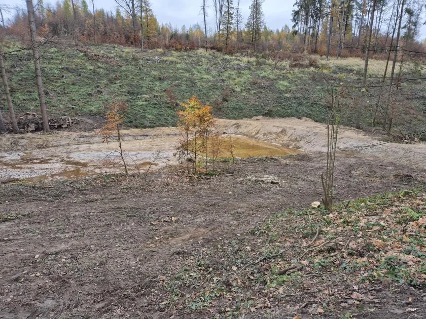 Cyklotrasy, studánka, tůně i nová výsadba. Šumperský příměstský les prošel řadou úprav