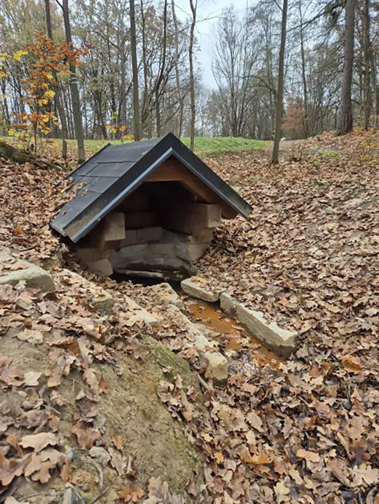 Cyklotrasy, studánka, tůně i nová výsadba. Šumperský příměstský les prošel řadou úprav