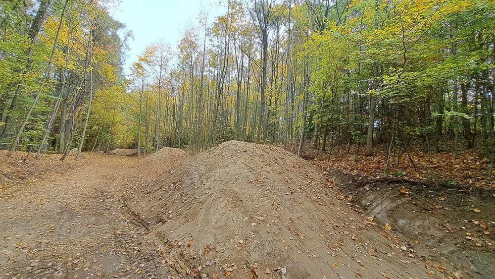 Cyklotrasy, studánka, tůně i nová výsadba. Šumperský příměstský les prošel řadou úprav