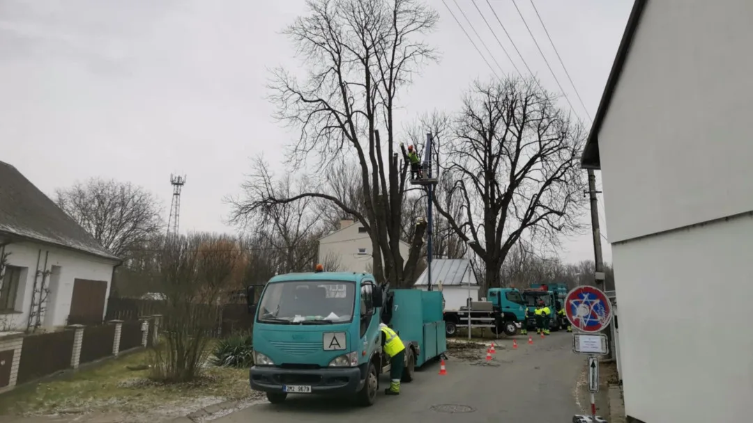 Chomoutov se snaží na poslední chvíli odvrátit kácení dvou historických kaštanů. Jsou nebezpečné, tvrdí město