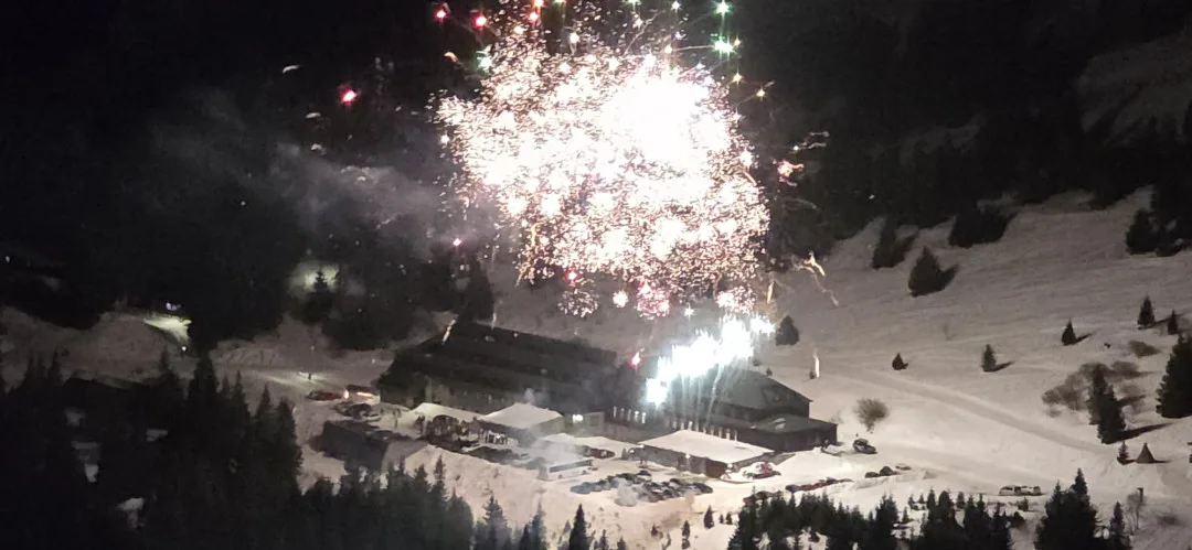 VIDEO: Peklo na Silvestra. V Tršicích petardy usmrtily pávy, ohňostroj byl i na přísně chráněné Ovčárně