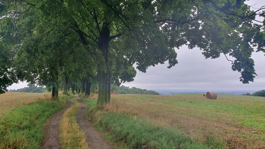 Jánský vrch