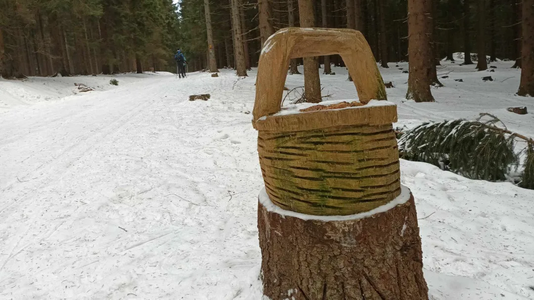 TIP NA VÝLET: Kouzelná procházka k Dalimilově rozhledně a na Paprsek je i pro malé děti