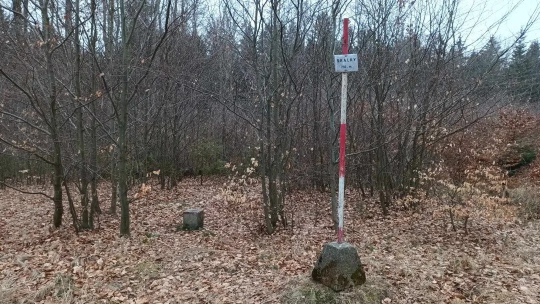 TIP NA VÝLET: Cesta na nejvyšší bod Drahanské vrchoviny. Nenáročná procházka vede krásnými lesy