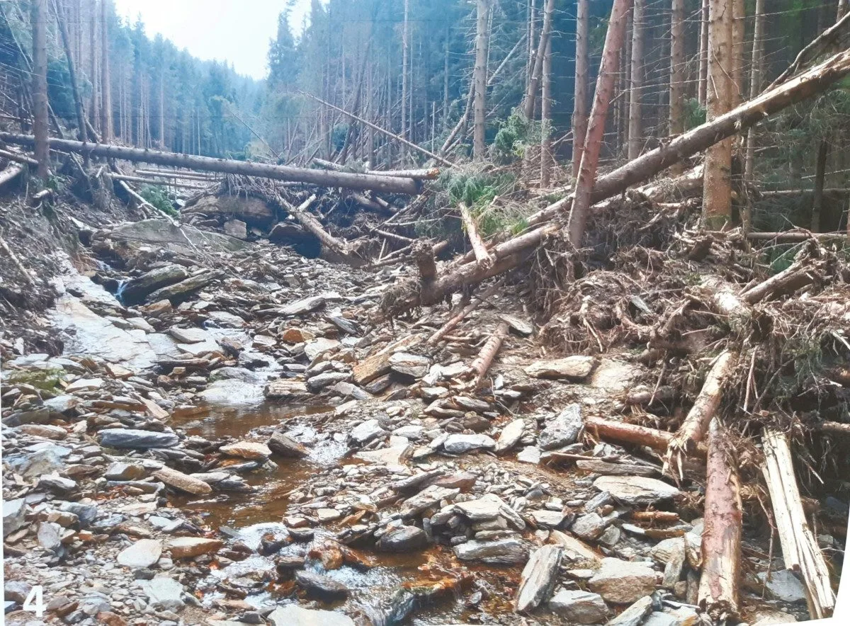 Síla deště. Z Keprníku před půl rokem sjela obří lavina bahna, kamenů a stromů v délce 900 metrů