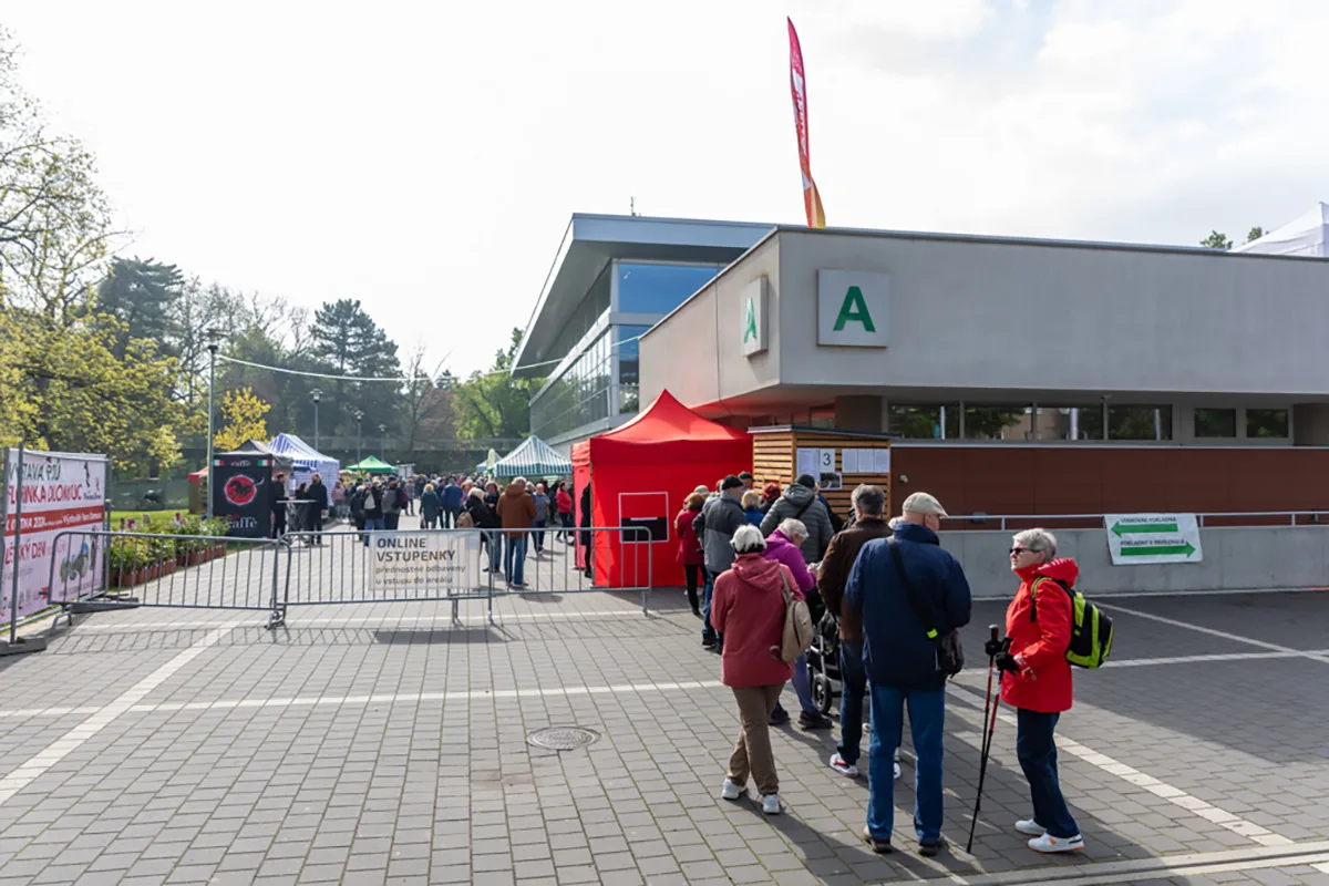 Paralelní květy. Působivou expozici jarní Flory Olomouc vytvoří věhlasný florista Bartolen