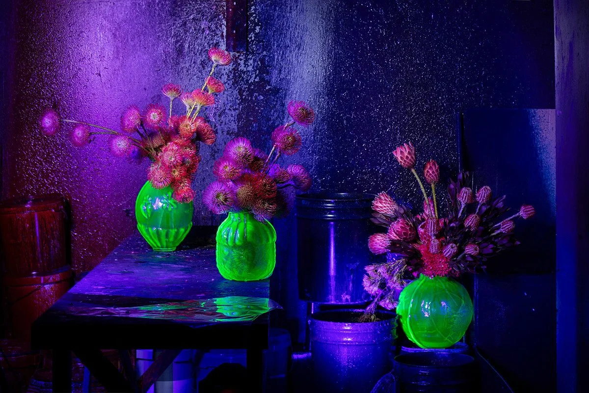 Vizuál centrální expozice jarní výstavy Flora Olomouc 2025