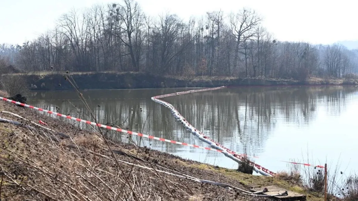 V Hustopečích dnes začne instalace osmimetrových stěn, mají zabránit kontaminaci vody. Ryby jsou zatím v pořádku