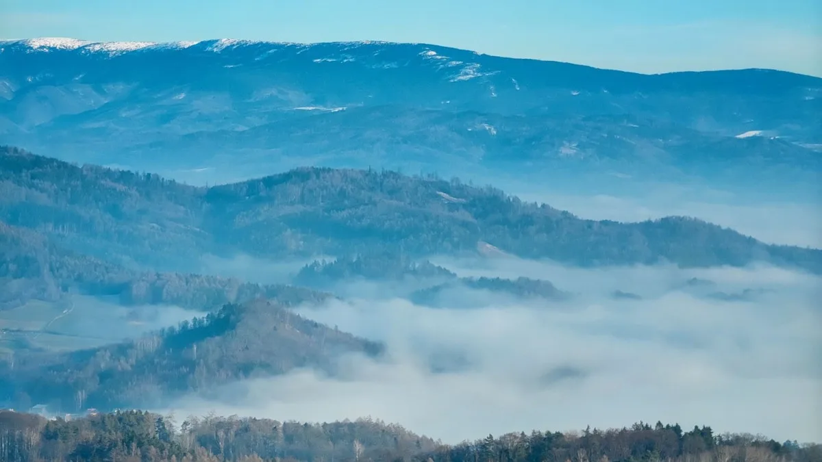 TIP NA VÝLET: Z rozhledny nad Svébohovem lze vidět Jeseníky, Orlické hory i Drahanskou vrchovinu
