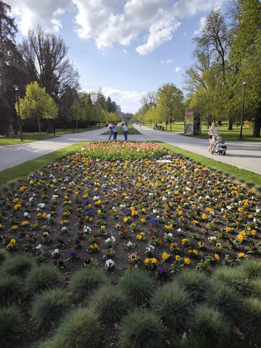 GLOSA: Tristní stav záhonů, ale expozice za miliony. To je další Flora Olomouc