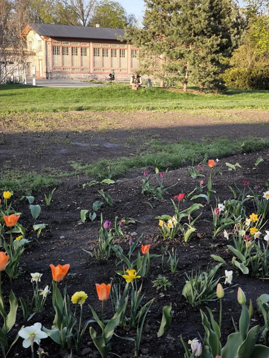 GLOSA: Tristní stav záhonů, ale expozice za miliony. To je další Flora Olomouc