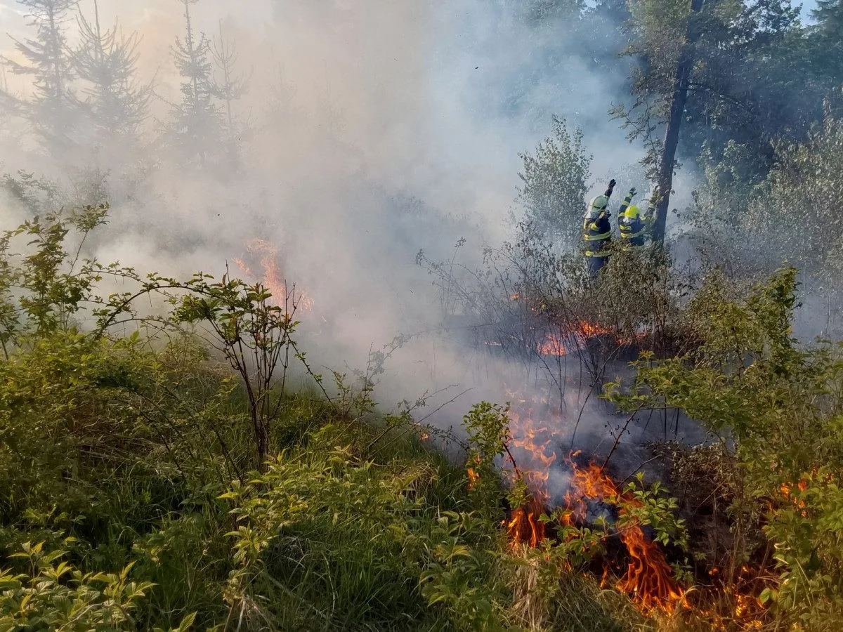 Dva požáry lesa na Šumpersku od špatně uhašeného ohniště. Zasahovaly desítky hasičů