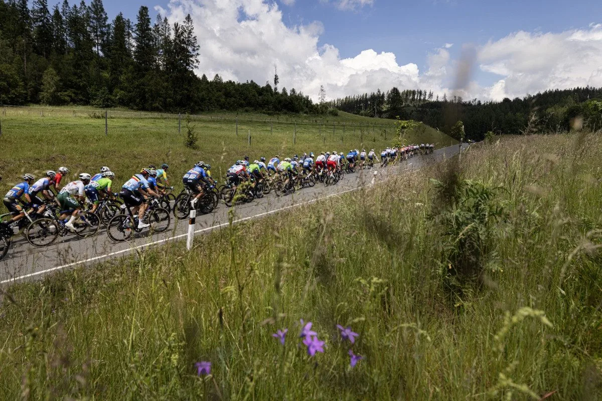 Peace Race / Markéta Navrátilová