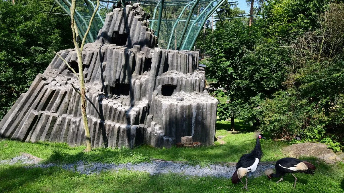 Bábovka je otevřená. V obří voliéře v olomoucké zoo se lidé projdou mezi cizokrajným ptactvem