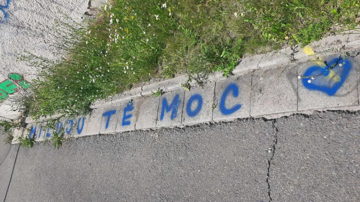 Foto 01