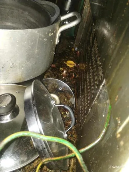 Inspektoři zavřeli restauraci v lázeňské obci Skalka. Uvnitř našli špínu a mrtvé hlodavce