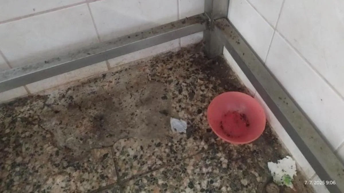 Inspektoři zavřeli restauraci v lázeňské obci Skalka. Uvnitř našli špínu a mrtvé hlodavce