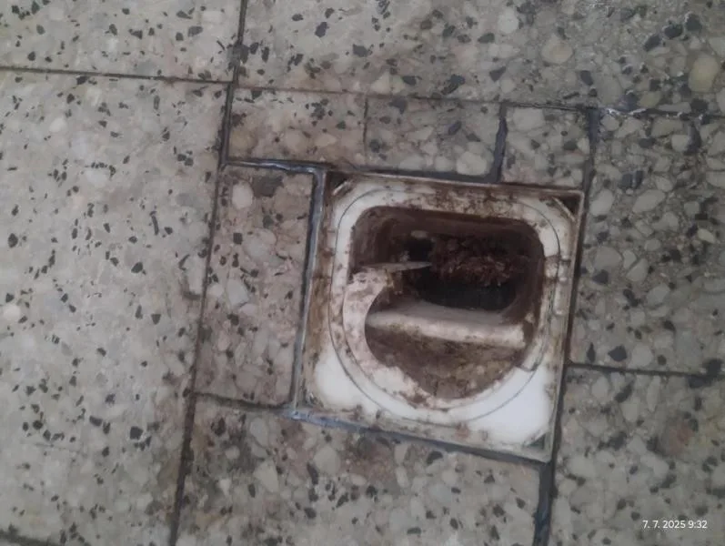 Inspektoři zavřeli restauraci v lázeňské obci Skalka. Uvnitř našli špínu a mrtvé hlodavce