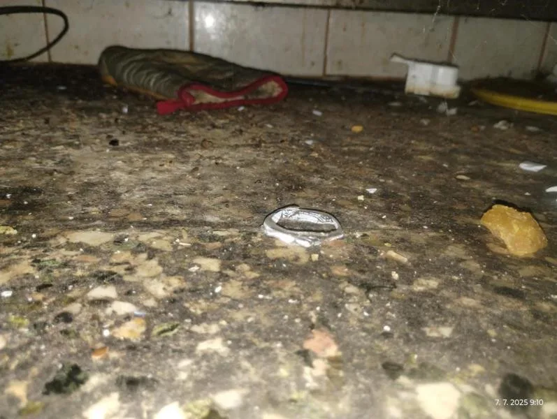 Inspektoři zavřeli restauraci v lázeňské obci Skalka. Uvnitř našli špínu a mrtvé hlodavce