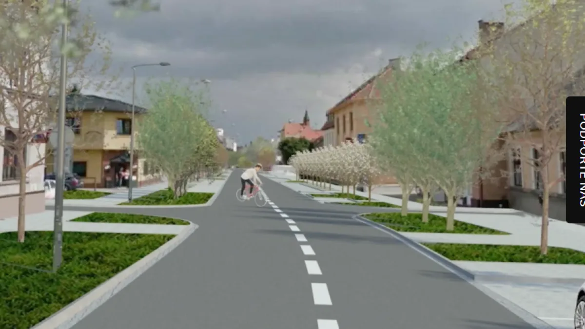 Vizualizace projektu Plumlovské ulice